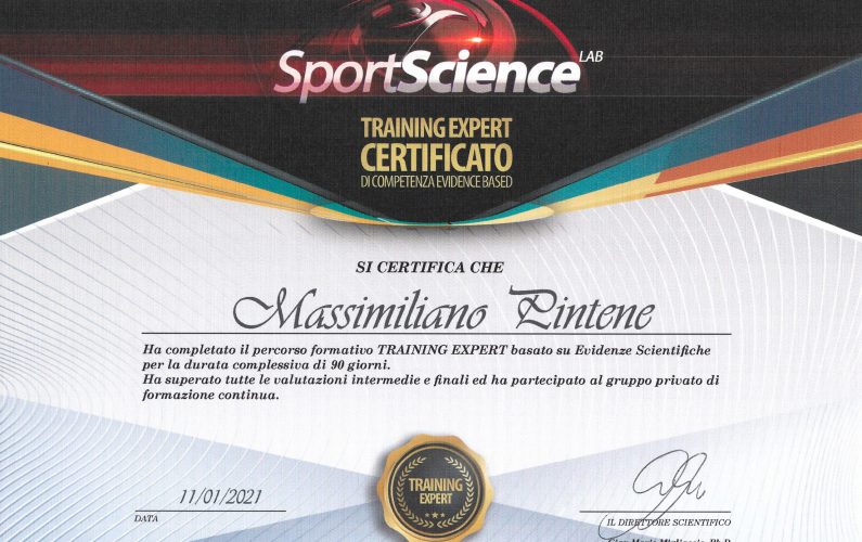 Training Expert