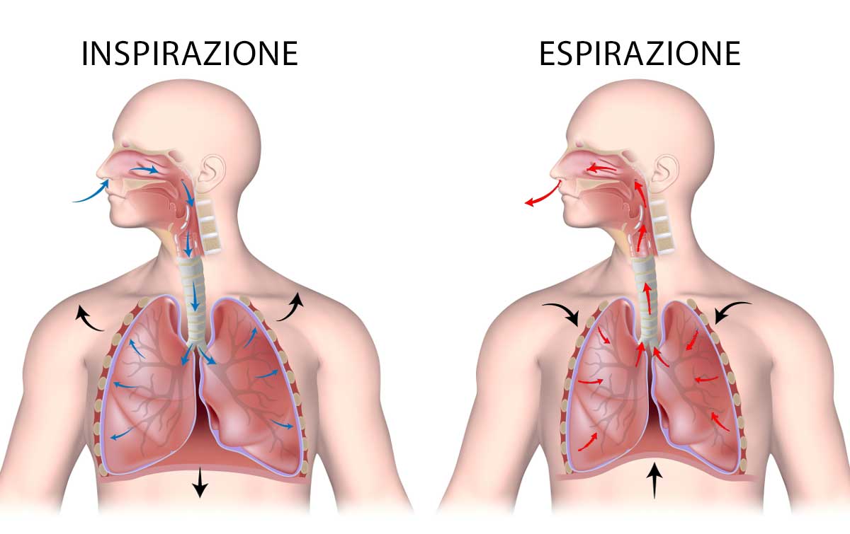 respirazione